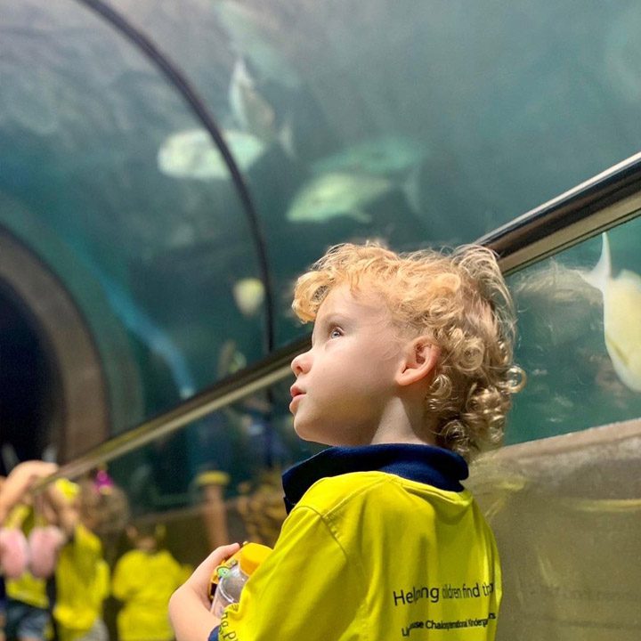 field trip phuket aquarium