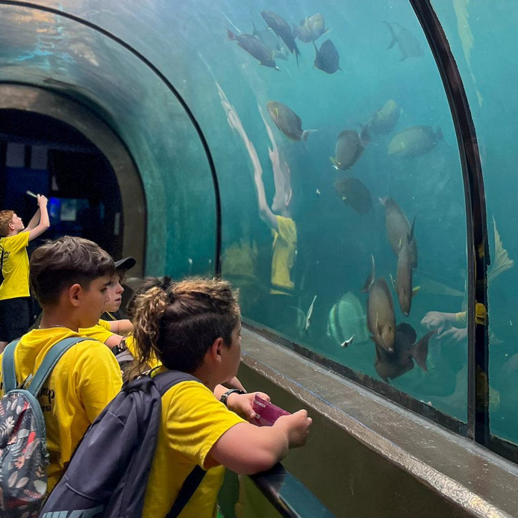 Children at the aquarium