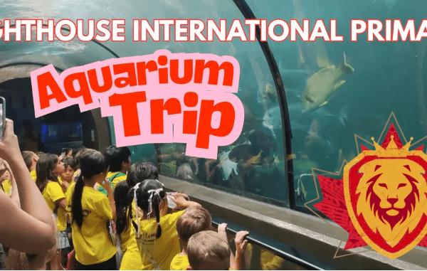 Lighthouse International Primary Featured Image for the Aquarium Trip