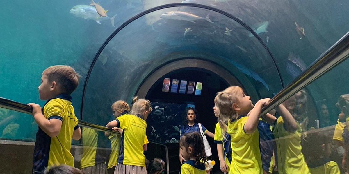 highlights-lighthouse-primary-school-field-trips Lighthouse International School students exploring an aquarium tunnel during an educational visit