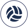 A stock icon of volleyball
