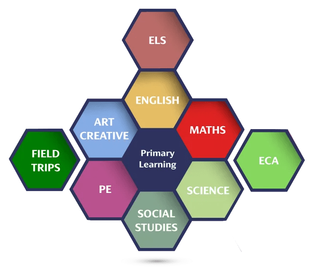 learning-hexagons-primary-A3 learning hexagons primary