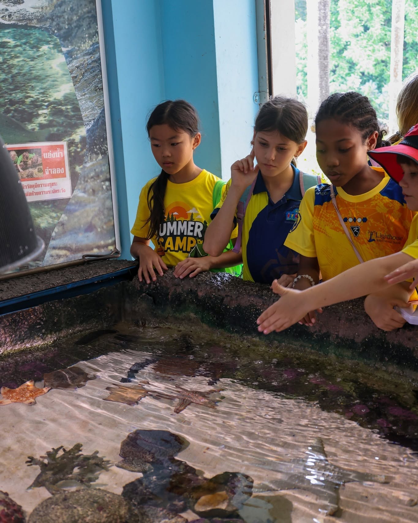 Primary students watching tidepool creatures at Panwa aquarium