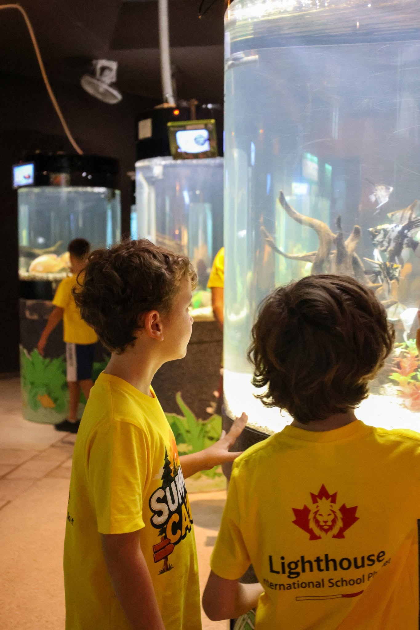Two boys watching sea creatures exhibit